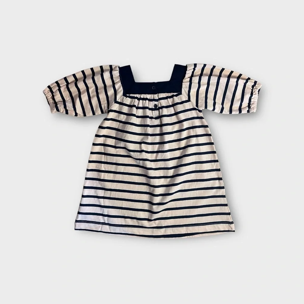Gap Blue & Pink Striped Poplin Sleeve Dress